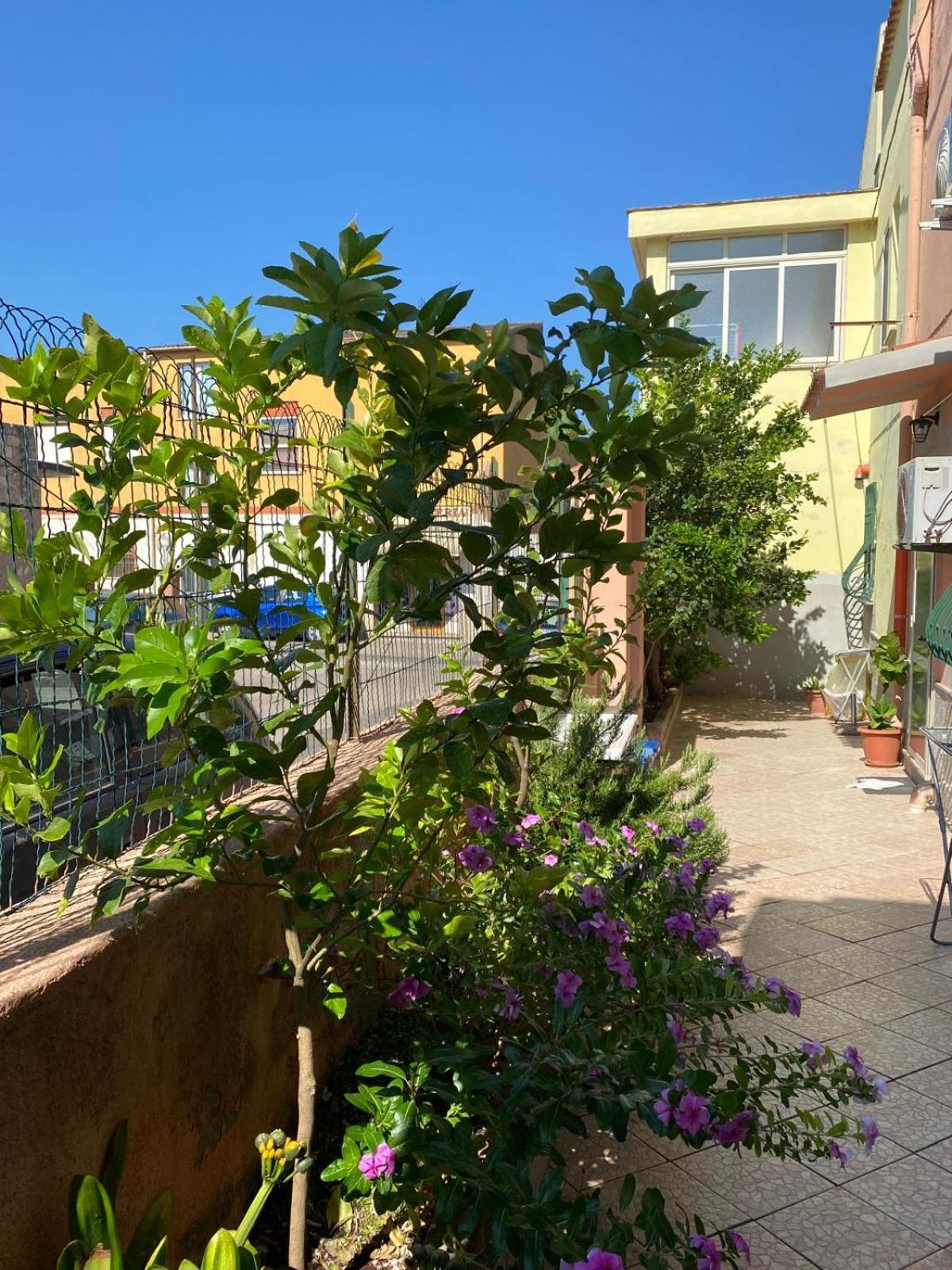 Lemon House Lägenhet Sassari Exteriör bild